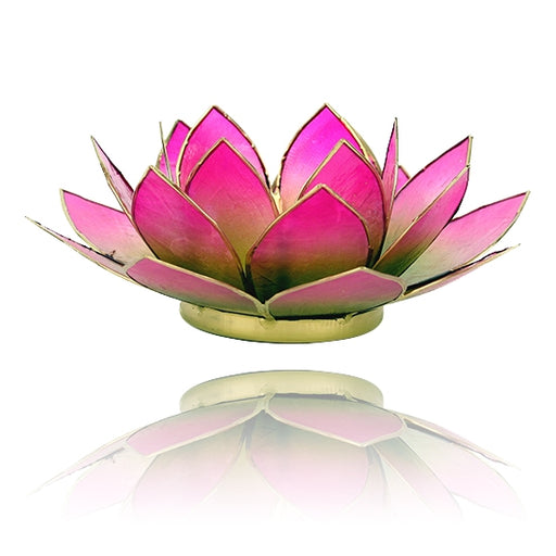 Lotus telysholder /Candle light Holder Capiz Shell Rosa - Grønn  image