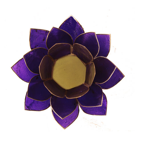 Lotus atmospheric light chakra 7 violet gold trim  image