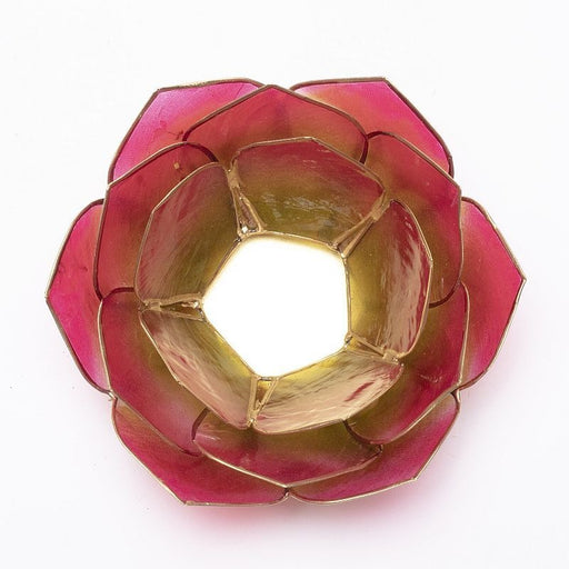 Lotus Lys / Lotus petal atmospheric pink/light green  gold trim  image