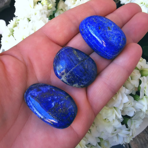 Lapis Lazuli, Tromlet Stor AA - kvalitet  image
