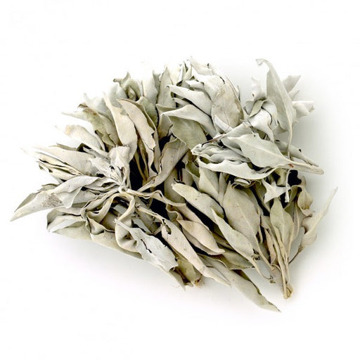 Hvit salvie (White Sage) smudge, liten 9-10 cm + Palo Santo tre  image