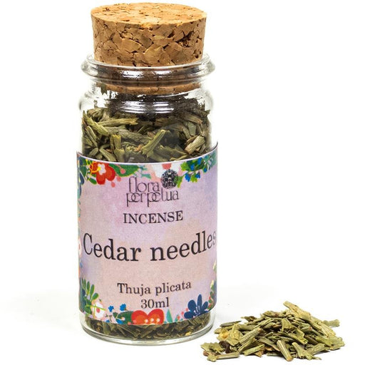 Cedar needles (USA) herbal incense image