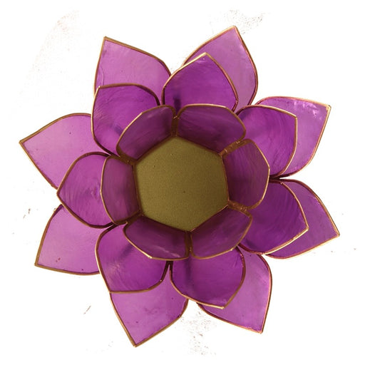 Lotus telysholder/Lotus atmospheric light lilac image