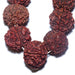 Original Rudraksha Mala 108+1 Beads (15 mm) image