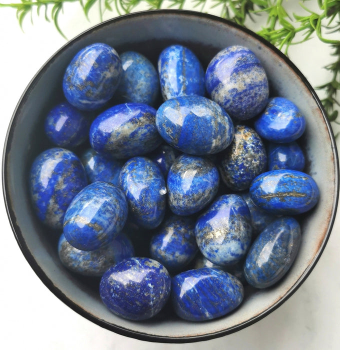 Lapis Lazuli tromlet Stor  AAA - kvalitet  image
