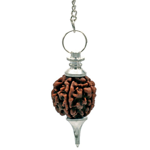 Pendel /Rudraksha Pendulum silver colored image