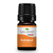 Kumquat Essential Oil - eteriske oljer 5ml  image