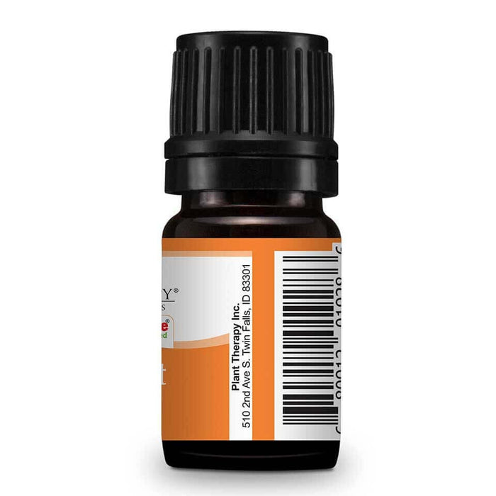 Kumquat Essential Oil - eteriske oljer 5ml  image