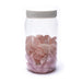 Rosenkvarts Rose Quartz Africa Tromlet Medium AAA-kvalitet image