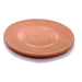 Fire-proof terracotta dish image