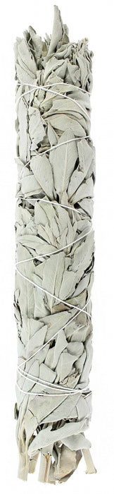 California White Sage (22 cm) image