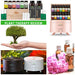 Kumquat Essential Oil - eteriske oljer 5ml  image