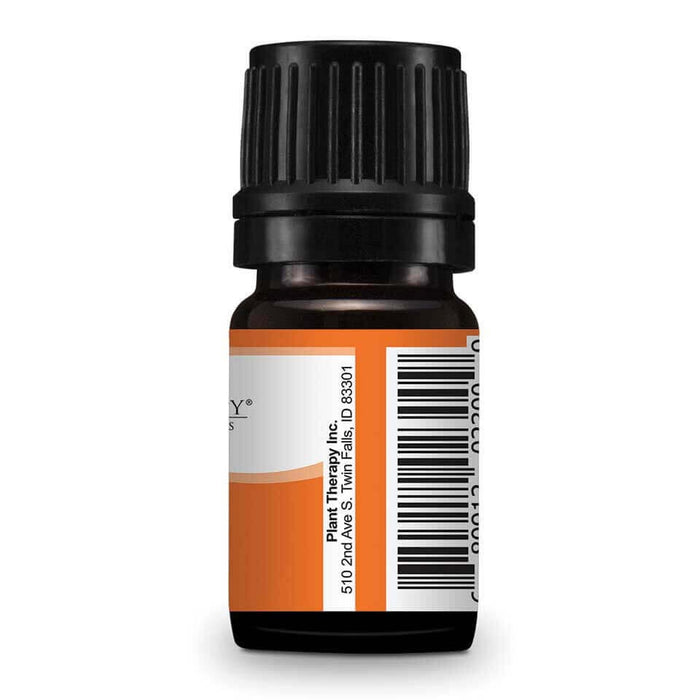 Davana Essential Oil 5 ml image