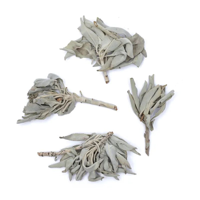 Hvit Salvie/ White Sage Clusters Salvia Apiana 15 gram