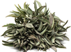 Hvit Salvie M - White Sage Smudge Medium 14-15 cm  image