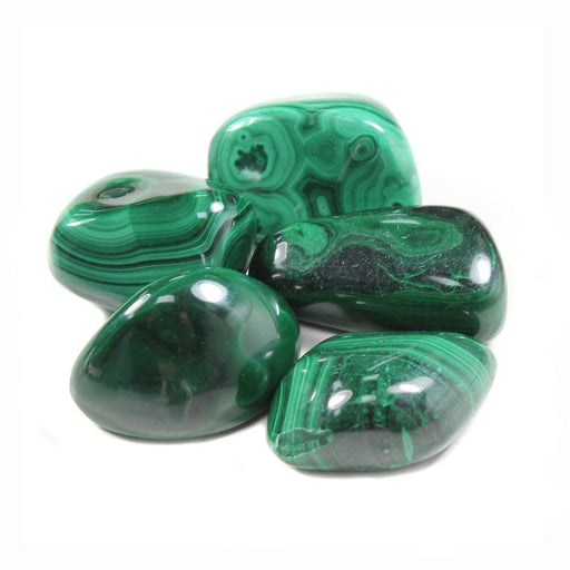 Malakitt / Malachite Tromlet XL  AAA-kvalitet image