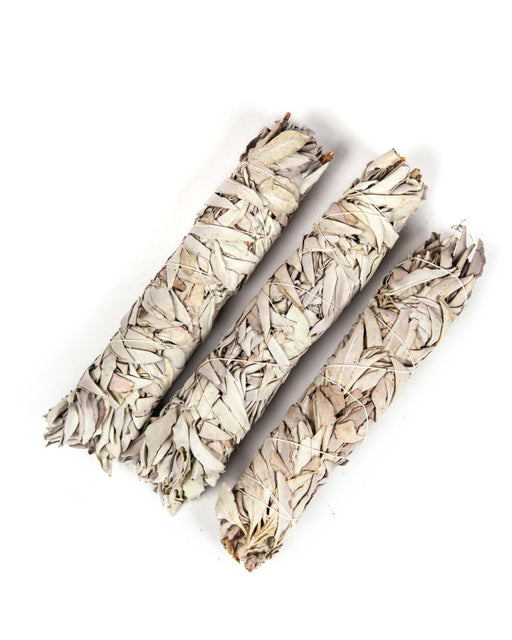 California White Sage (22 cm) image