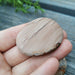  Jaspis, Landskap Lommestein  image