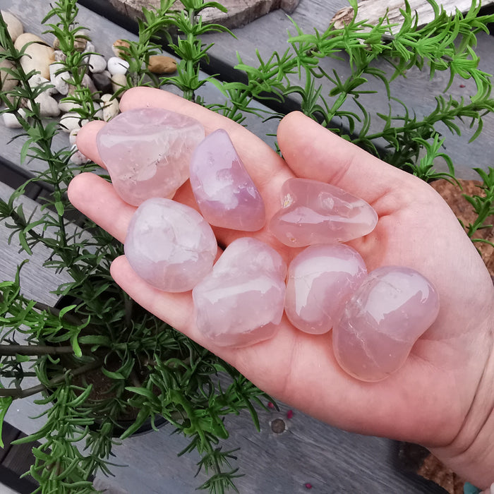 Kalsedon, rosa Tromlet Stor XL  AAA-kvalitet image