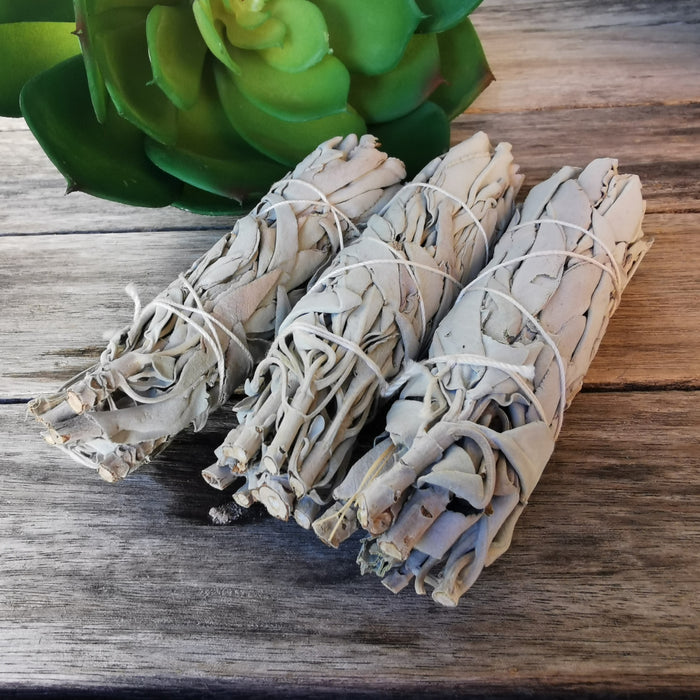 Hvite Salvie S sett 3 |White Sage mini smudge pack of 3  image