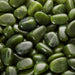  Jade, grønn ekte Canada Tromlet Medium  AAA-kvalitet image