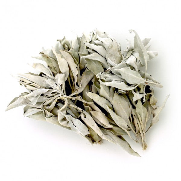 Hvit Salvie/ White Sage Clusters Salvia Apiana  25 gram  image