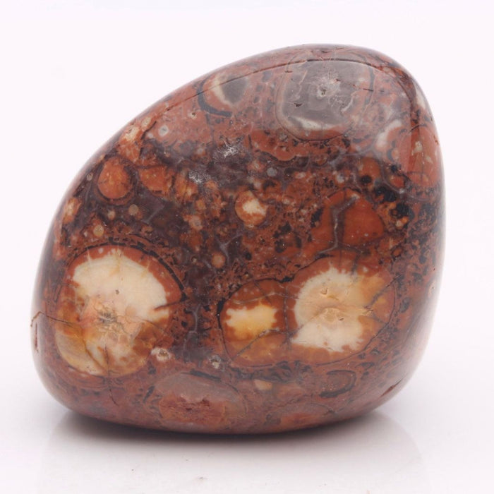 Jaspis ,Bird Eye Tromlet  Medium  image