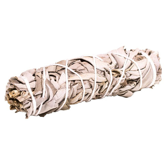 Hvit Salvie -  White Sage Smudge  Medium 14-16 cm  image