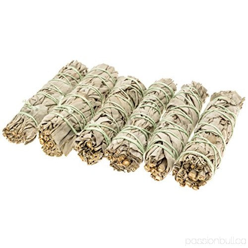 Hvit Salvie -  White Sage Smudge  Medium 14-16 cm  image