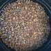 Resin Myrrha 30ml - Incense resin Myrrhe (Ethiopia) image