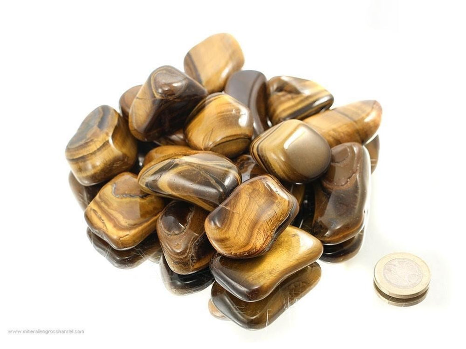 Tigerøye, Tromlet Medium AA-kvalitet  image