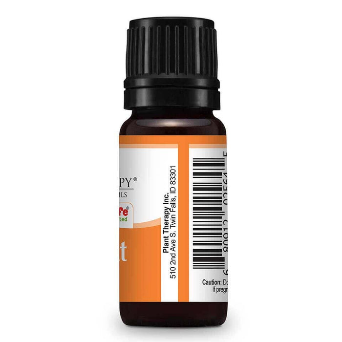 Kumquat Essential Oil  10 ml  image