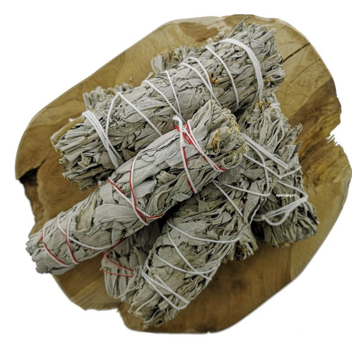 Hvit Salvie -  White Sage Smudge  Medium 14-16 cm  image