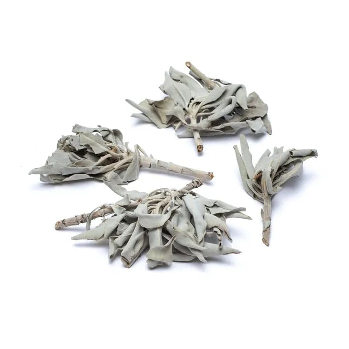 Hvit Salvie/ White Sage Clusters Salvia Apiana 15 gram